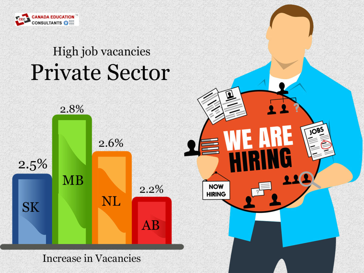 Job vacancy in education sector